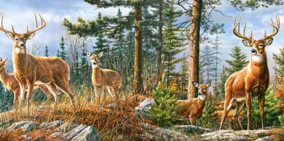 Famille Royale de Cerfs