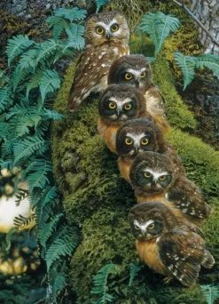 Family Tree