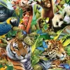 Faune colorée