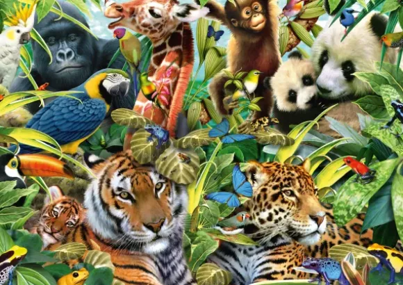 Faune colorée