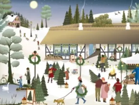 Ferme de Sapins de Noël