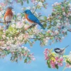 Festival des Fleurs