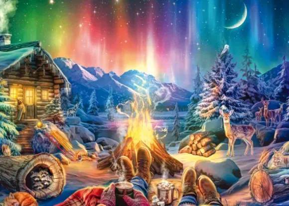 Feu de Camp sous les Étoiles