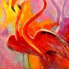 Flamants Roses