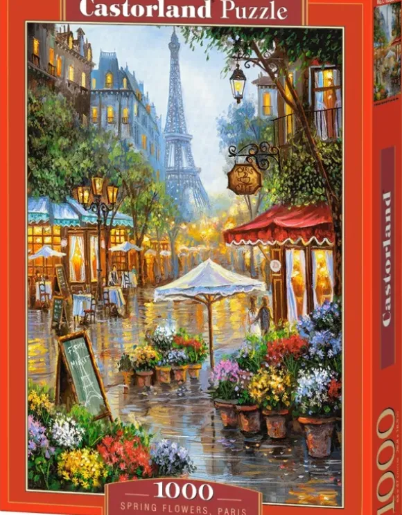 Fleurs de Printemps à Paris