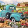 Flower Truck