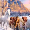 Fonte d'Hiver