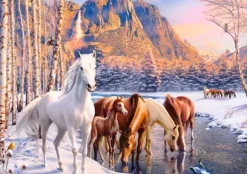 Fonte d'Hiver