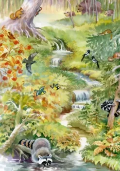 Forest Animals