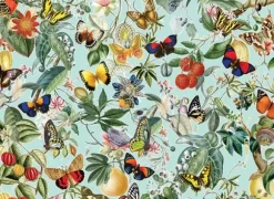 Fruit and Flutterbies