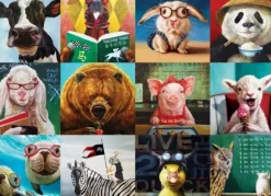 Funny Animals
