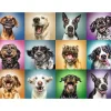 Funny Dog Portraits