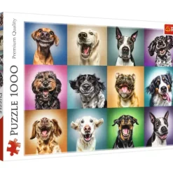 Funny Dog Portraits