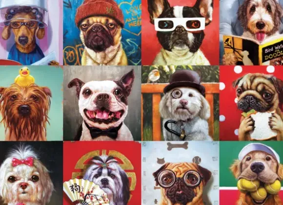 Funny Dogs