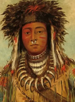George Catlin : Chef Indien - Ojibbeway, 1843