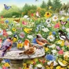 Greg Giordano: The Secret Garden