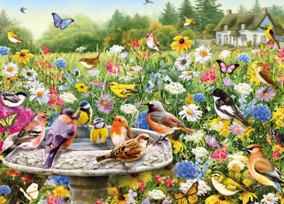 Greg Giordano: The Secret Garden