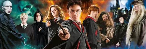 Harry Potter