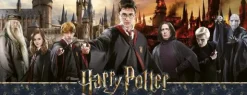 Harry Potter - La Guerre des Sorciers