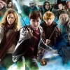 Harry Potter (TM)