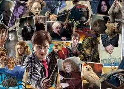 Harry Potter (TM)