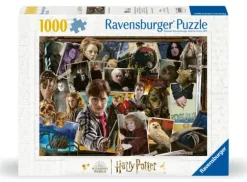 Harry Potter (TM)