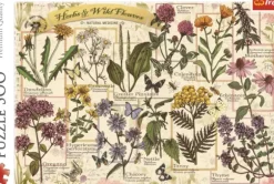 Herbier : Herbes Médicinales