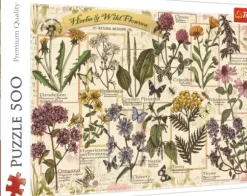 Herbier : Herbes Médicinales