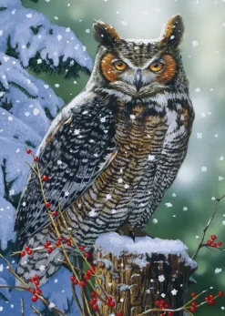Hibou Silencieux
