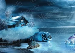 House & Turtle