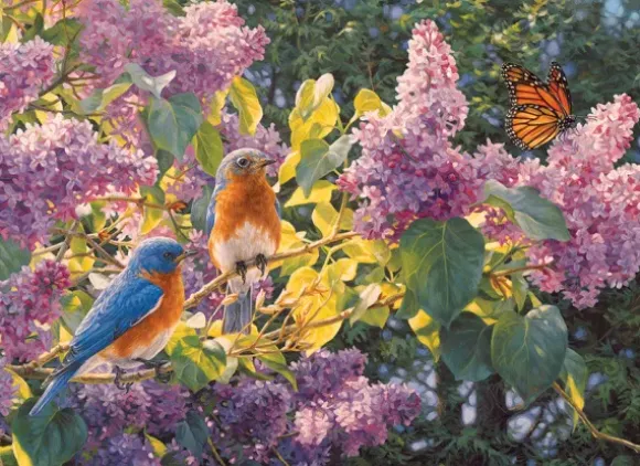 Intermède de Printemps