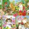 Jane Mayday - Chats et Chatons