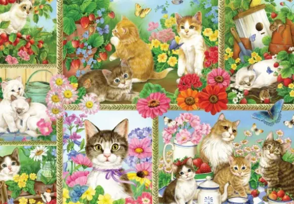 Jane Mayday - Chats et Chatons