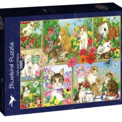 Jane Mayday - Chats et Chatons
