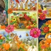 Jane Mayday - Les Couleurs de l'Automne