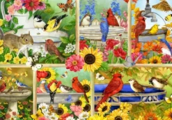 Jane Mayday - Plumes et Compagnie