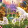 Jan Patrik Krasny - Castle Unicorns