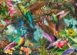 Jeu de Couleurs du Colibri