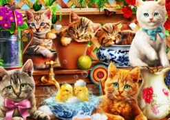 Kittens in the Potting Shed