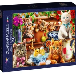 Kittens in the Potting Shed