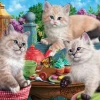 Kitten Tea Party