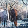La Beauté de l'Hiver