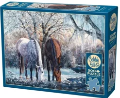 La Beauté de l'Hiver