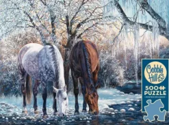 La Beauté de l'Hiver