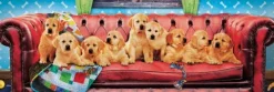Labradors en Mode Détente