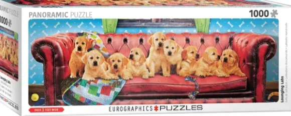 Labradors en Mode Détente