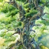 L'Arbre de Vie