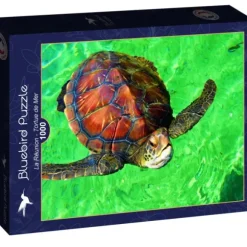La Réunion - Tortue de Mer