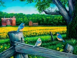 Le Blues De La Vallée Du Tournesol