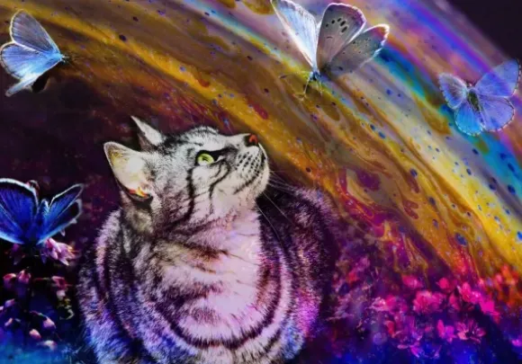 Le Chat et les Papillons